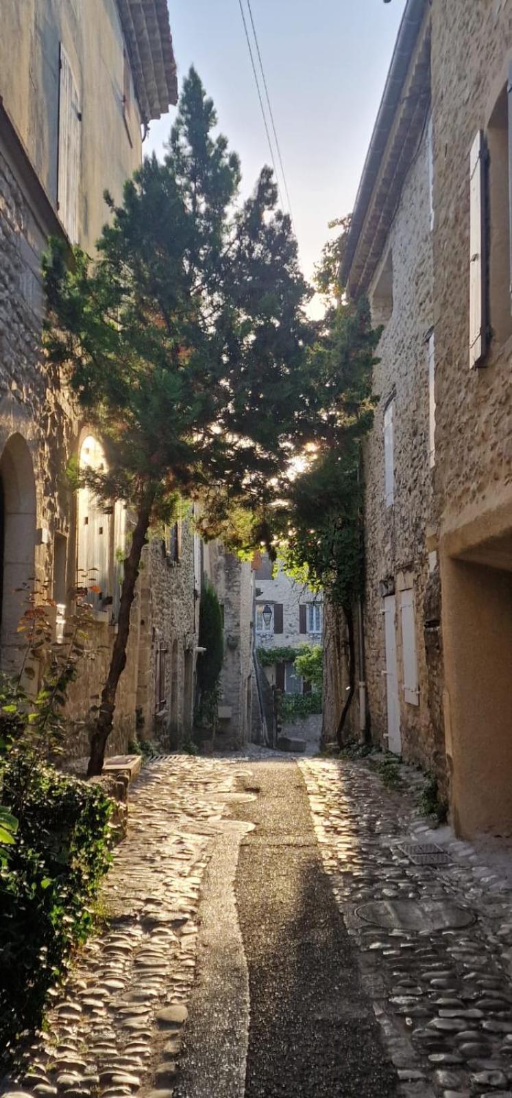 Maison Ancienne Romantique Avec Terrasse Panoramique ヴェゾン・ラ・ロメーヌ エクステリア 写真